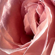 Masque de Nuit – Lumière Régénérante | Autobronzant & relaxant