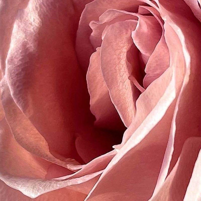 Masque de Nuit – Lumière Régénérante | Autobronzant & relaxant